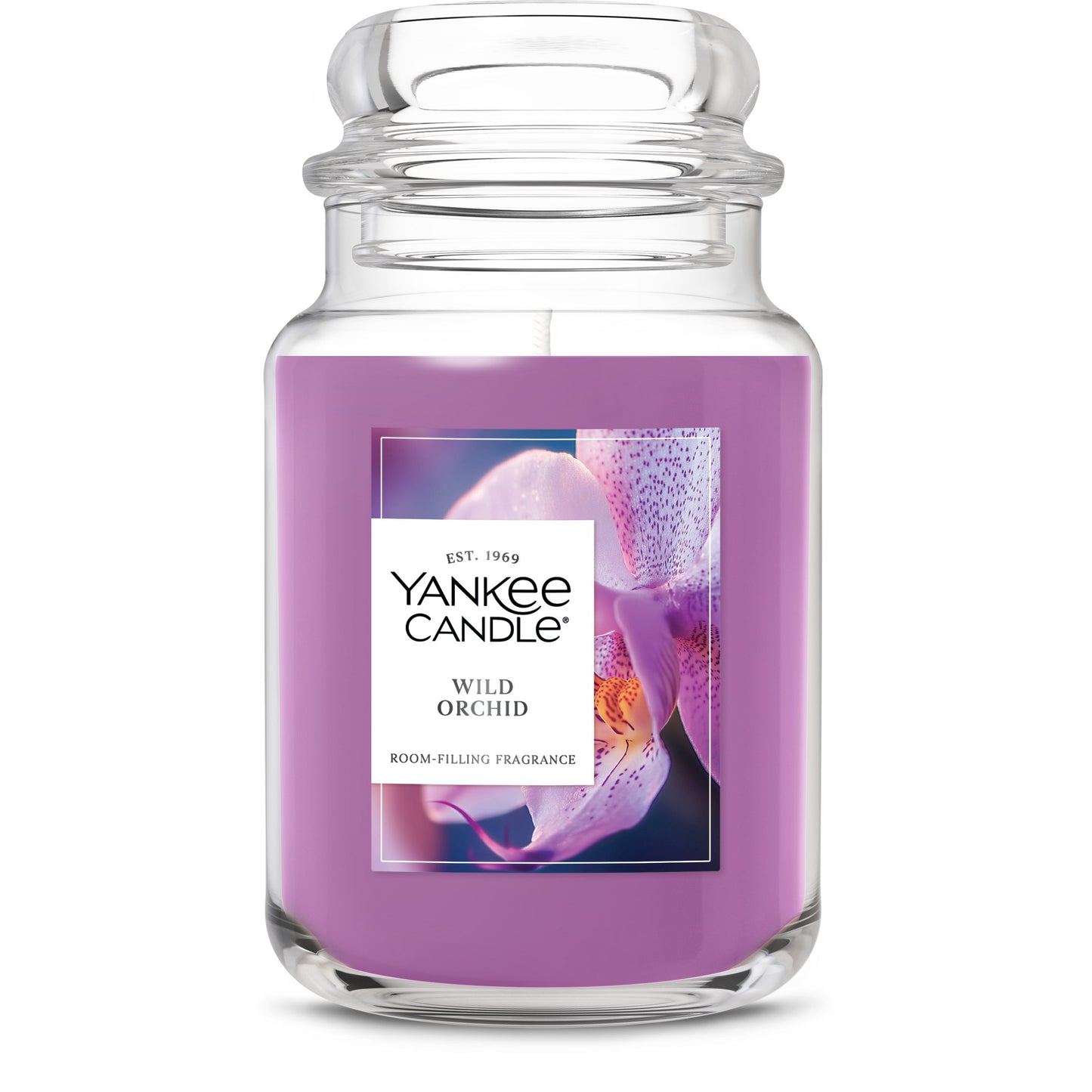 Wild Orchid Daily 6-0262