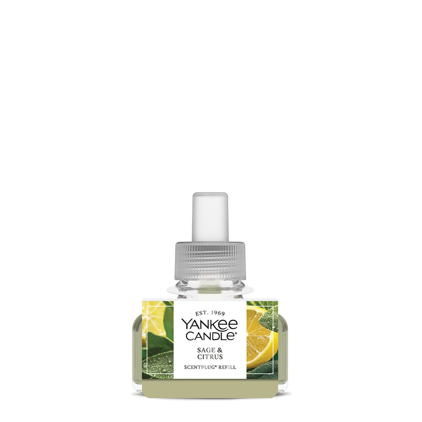 Sage & Citrus Wave 6-0875